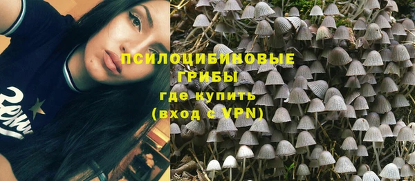 мдпв Беломорск