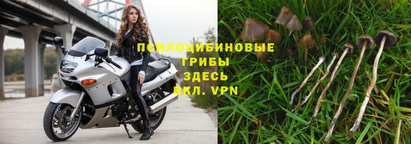 хмурый Белоозёрский
