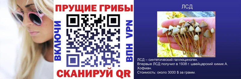 Галлюциногенные грибы ЛСД  Купить  Севастополь 